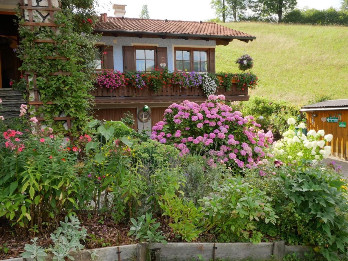 Ferienhaus Hummelbrunner バート・ゴイーザーン エクステリア 写真